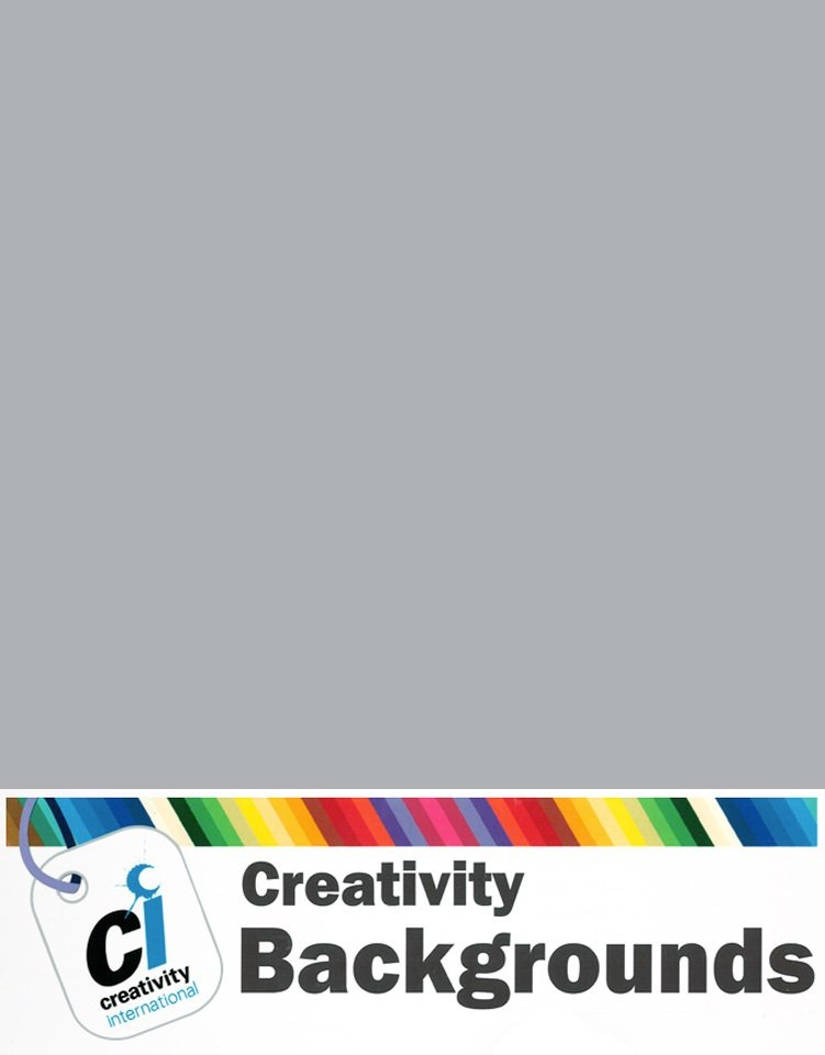Fond du studio en papier 2.72x11m couleur Fossil grey #72