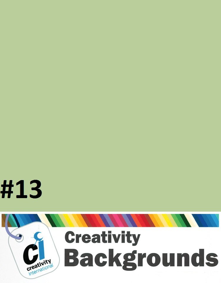Fond du studio en papier 2.72x11m couleur TROPICAL GREEN #13