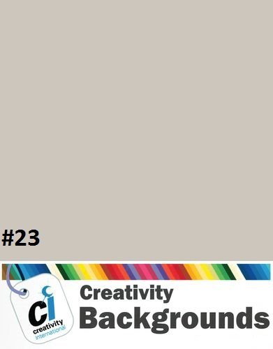 Fond du studio en papier 2.72x11m couleur PLATINUM #23