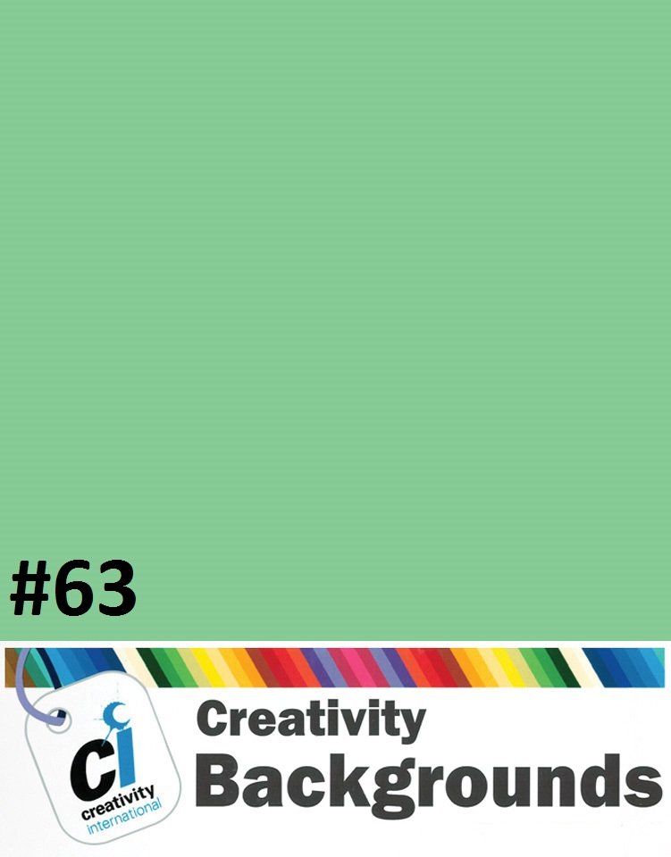 Fond du studio en papier 2.72x11m couleur SUMMER GREEN #63