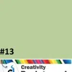 Fond du studio en papier 2.72x11m couleur TROPICAL GREEN #13