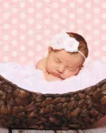 Background Sable Wood 1.2 x 3.7 m en papier – Image 3